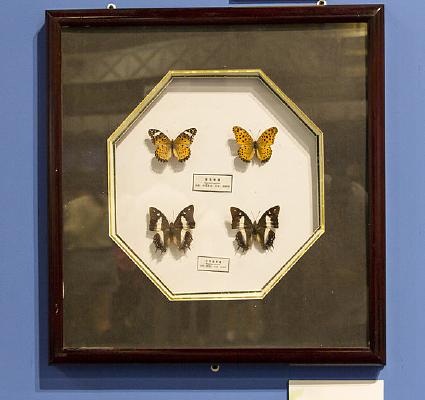 쳱��̵��Ͱװ����̵�