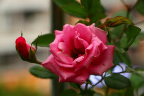 ��ɫ�¼���