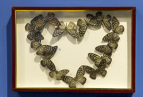 �����Ұߵ�