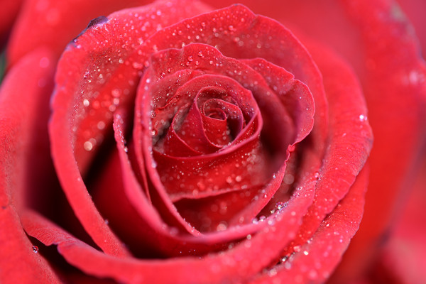 ���޵ĺ�õ��