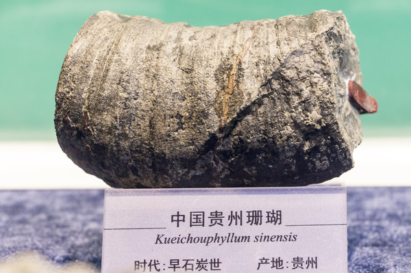 �й�����ɺ��