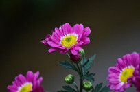 �ջ���дͼƬ