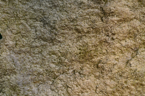 ǽ�����������ز�