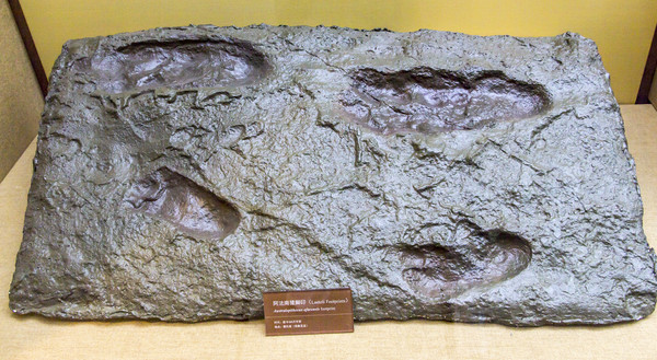 �����Գ��ӡ