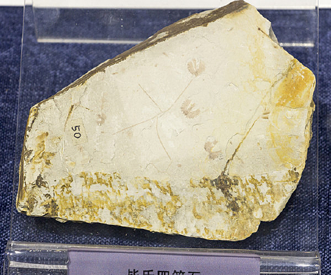 �����ı�ʯ