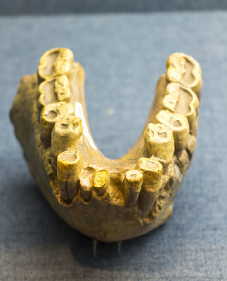 ��ʽ��Գ����