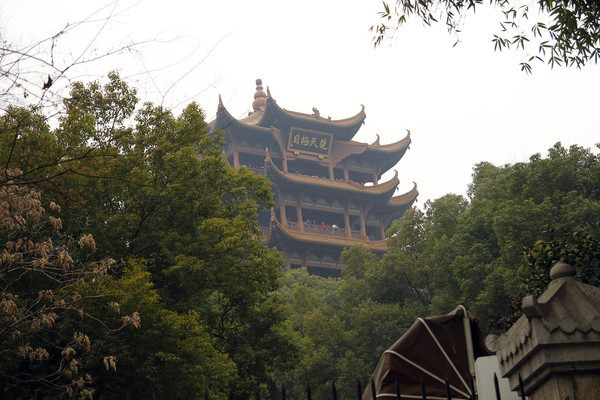 ���켫Ŀ¥��