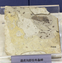 ��������������