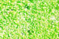 ���Ի�������������