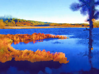 ���Ի��������