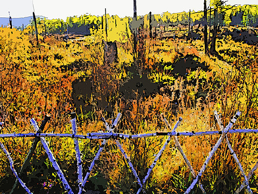 ���Ի�����ɫ��