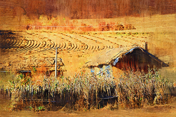 ���Ի���ɽ��ũ�ҡ�