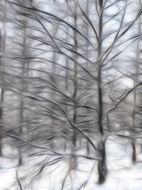 ���Ի���ѩ�֡�