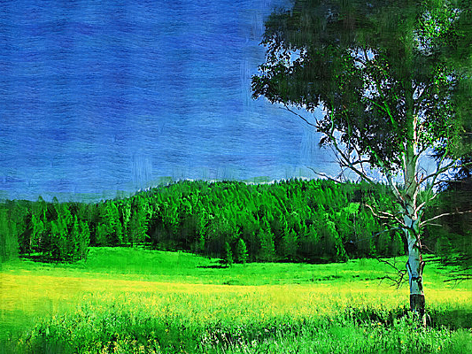 �����ͻ�����԰��⡷