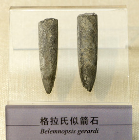 �������Ƽ���