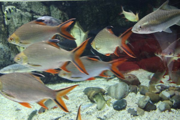 ����������