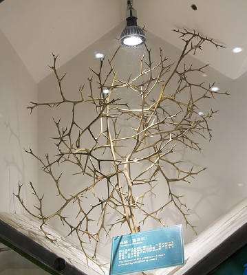 �۾�ܿ����