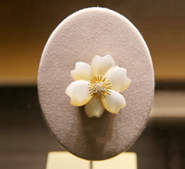 ��������Ʒ