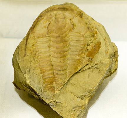 ʼ����������