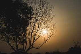 Ϧ����Ŀ���