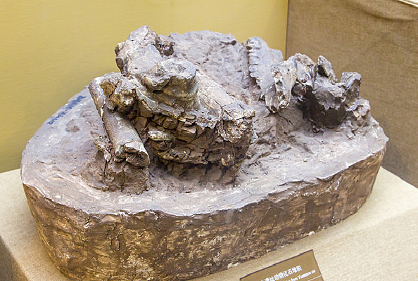 Ԫı����ַ���ﻯʯ�ѻ�