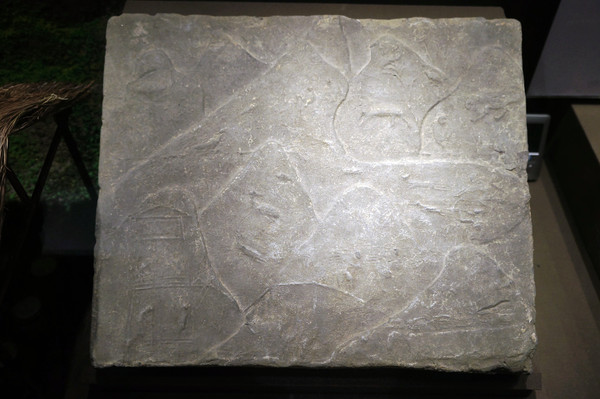 �ξ������