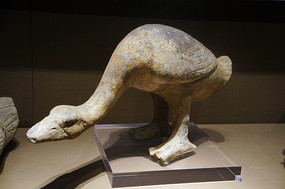 �����ն�