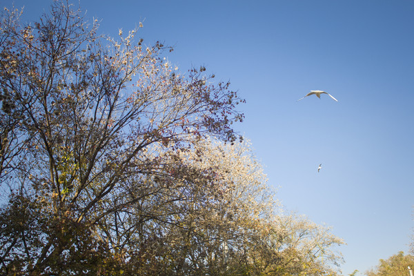 ����Ÿ�����