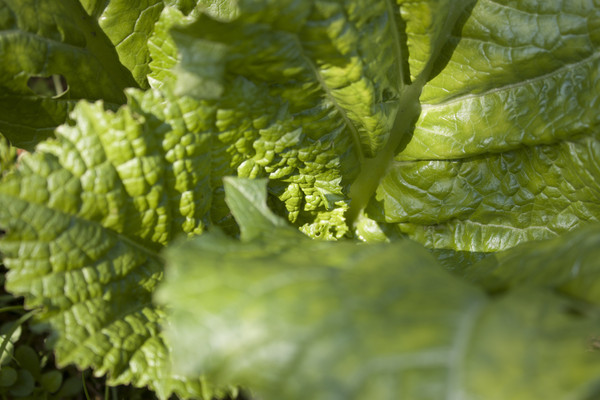 �����͵����