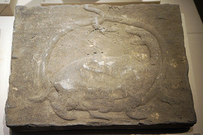 �ƴ�����ģӡש