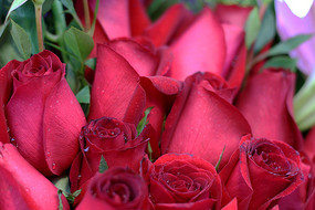 ���޵ĺ�õ��