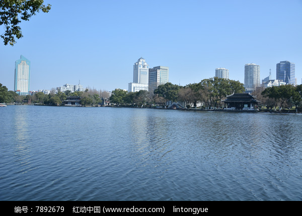 宁波月湖湖面风景