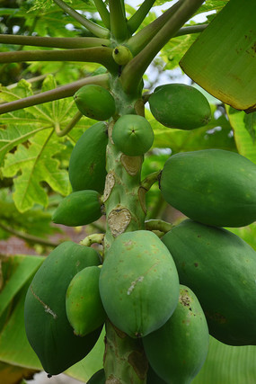 ���ϵ�ľ��