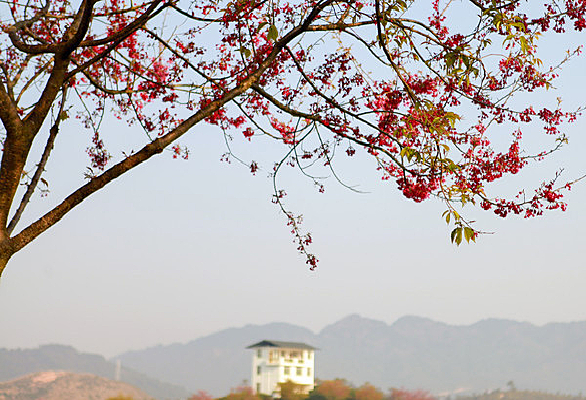 ӣ������