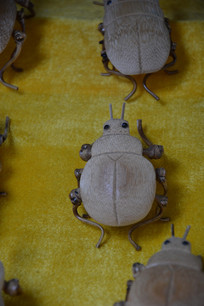 ���ӹ���Ʒư��