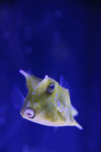  ţ������