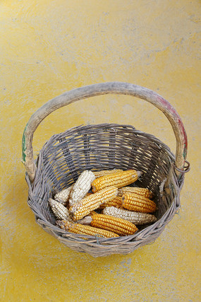 ũ��Բ������