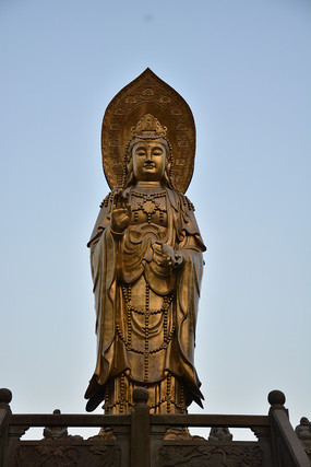 ͭ�������������