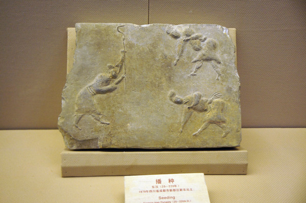 ����Ԫ��