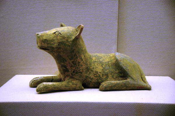 �������Թ�