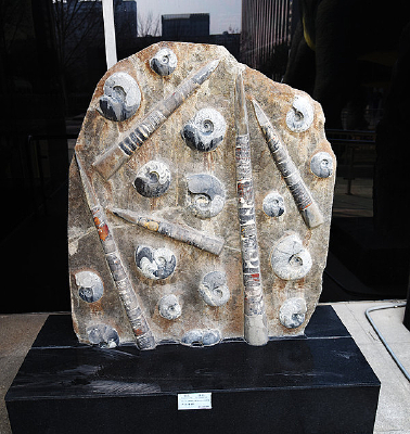 ��ʯ��ʯ��ʯ