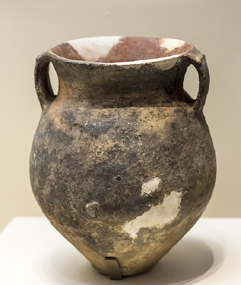 ��Լ�Ļ��չ�