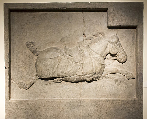 ʯ������