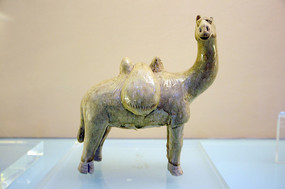 �ƴ���������