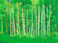 ���Ի��������֡�