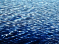 ���Ի����������ԡ�