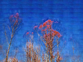 ���Ի���������