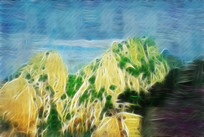 ���Ի�����ɽ��⡷