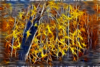 ���Ի�����ɫ����Ҷ��