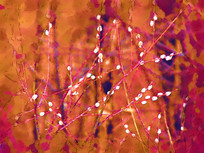 ���Ի�������ëë����